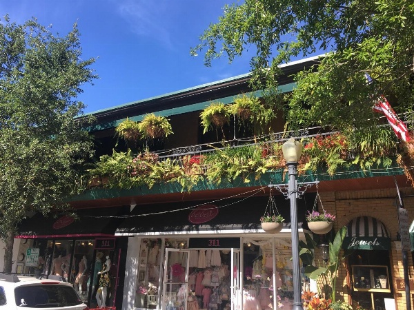 Park Plaza Hotel Orlando - Winter Park image 1